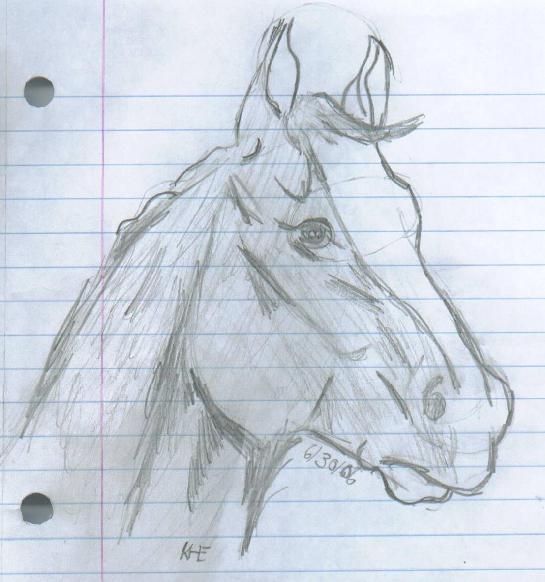 Another horse head by kwheat93 on deviantART