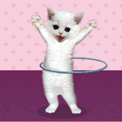 hula_hoop_kitten.gif