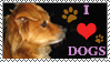 I_Love_Dogs_Stamp_by_The_Fairywitch.jpg