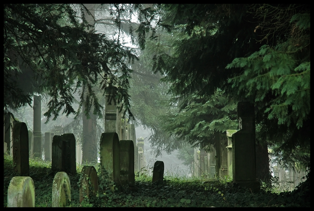 Jewish_Graveyard_II_by_FrederikM.jpg