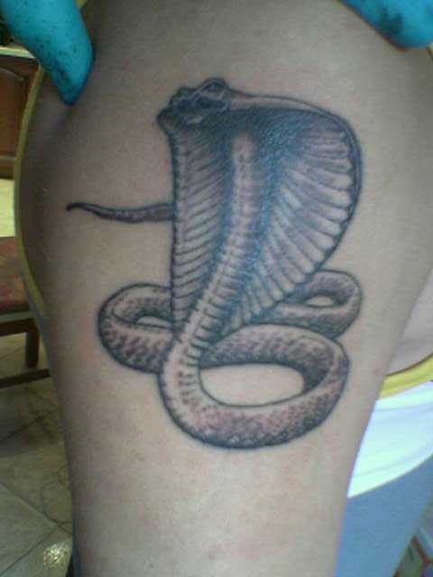 cobra snake tattoo. cobra snake tattoo. snake