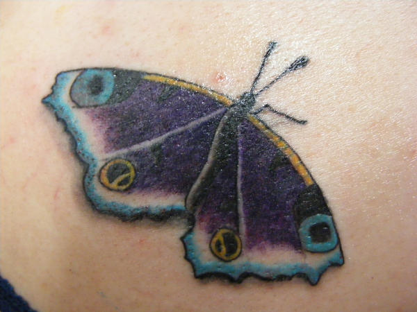 tiger butterfly tattoo. utterfly tattoo