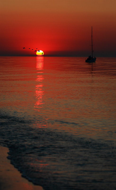 sunrise_by_Viand.jpg