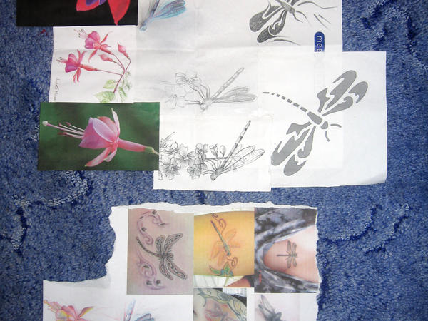 Dragonfly and fuschia research - dragonfly tattoo