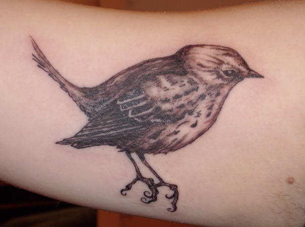 Ku D vmeleri Mart D vmeleri Bird tattoo