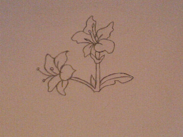 Tattoo Flower - flower tattoo