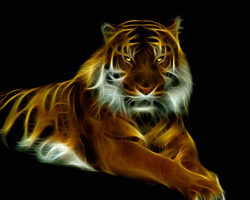 Glowing_Tiger_by_mceric.jpg