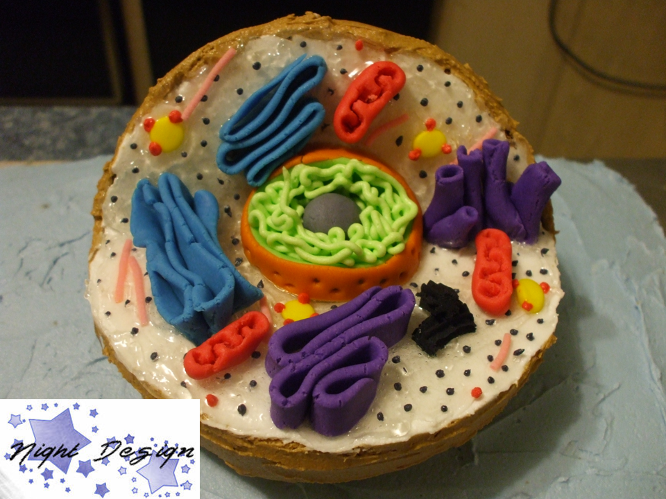 Animal Cell Key. Animal Cell: a cake project by
