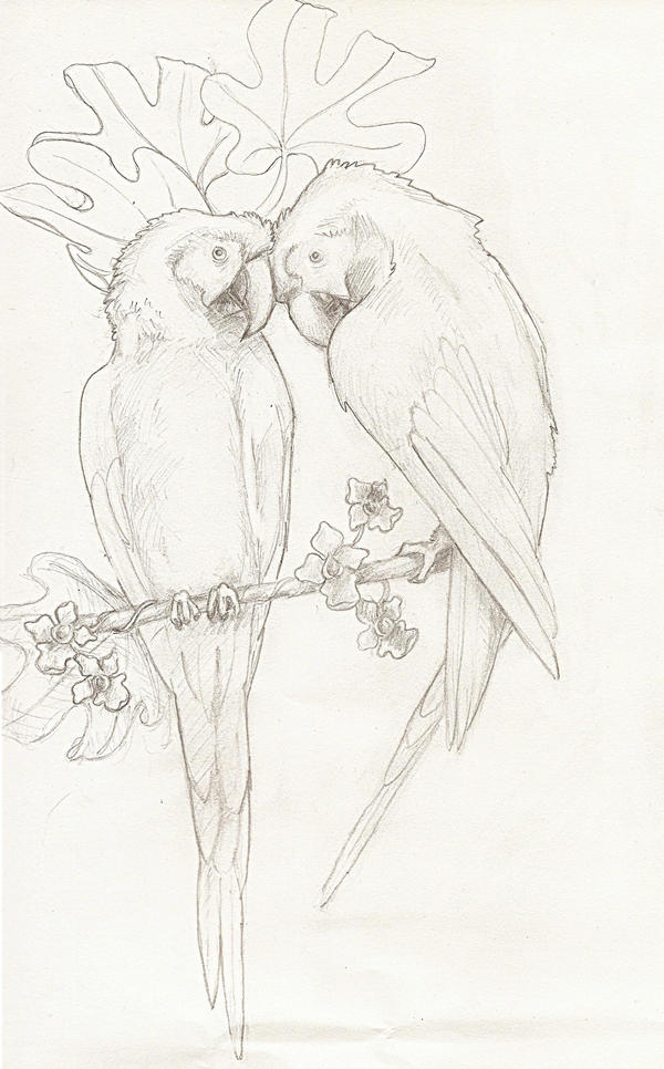 A tattoo design picture by Kingpin Tattoo Studio: animal,parrot,shoulder,big