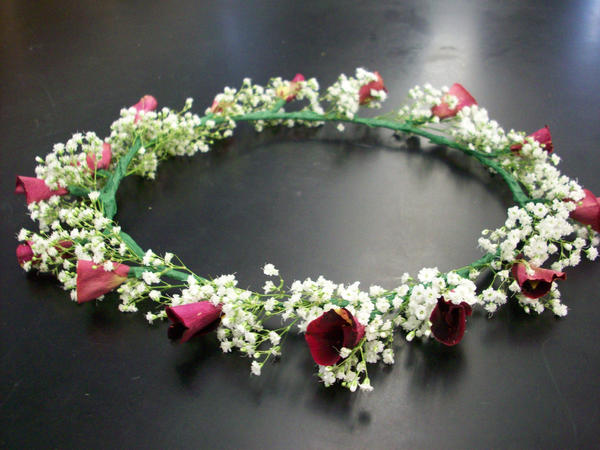 Pretty Pretty Flower Crown by RaventailBlacktalon on deviantART