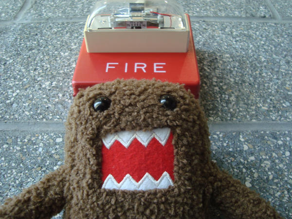 Domo+pictures+gallery