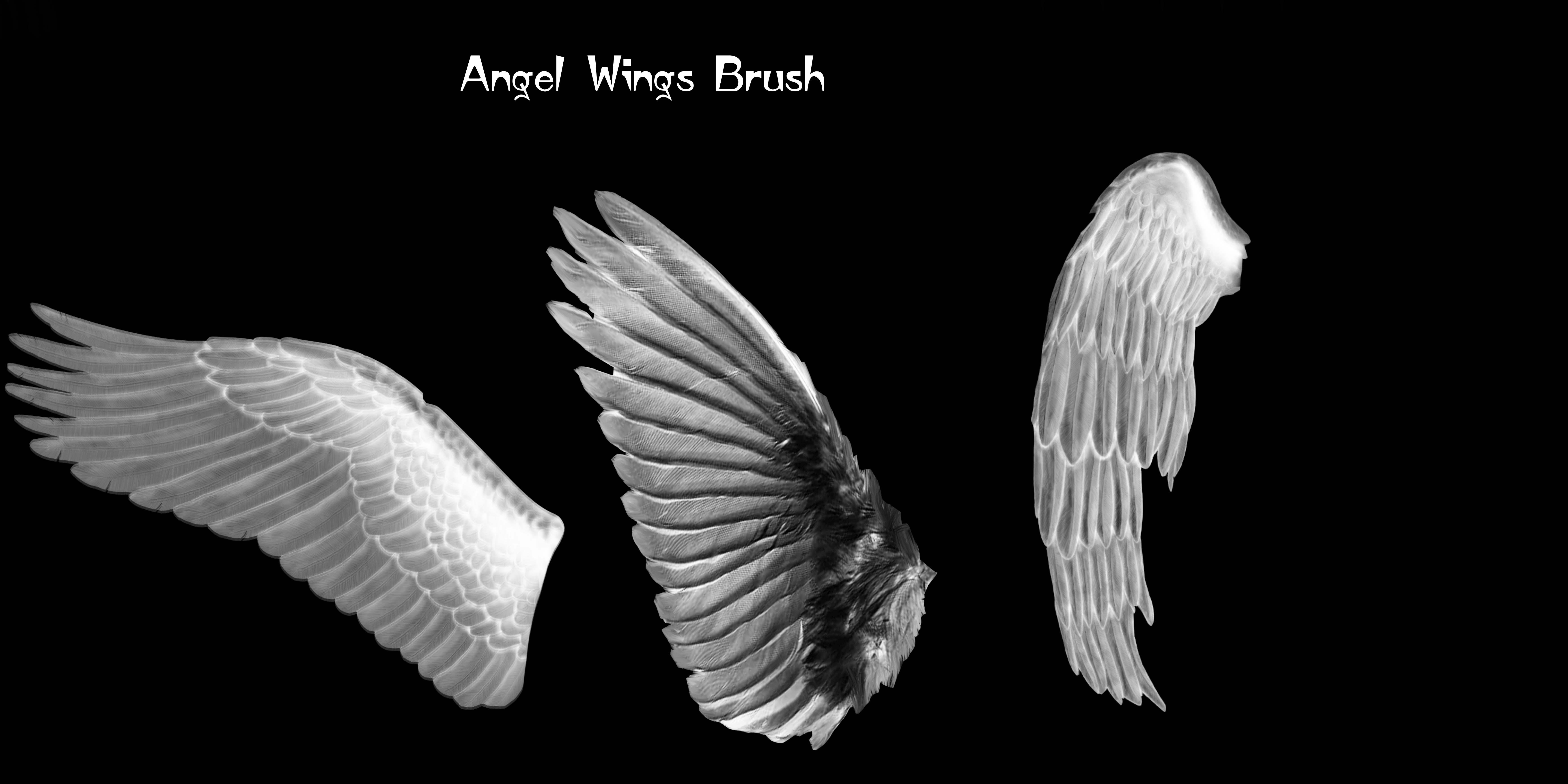 Agel wings brush by
