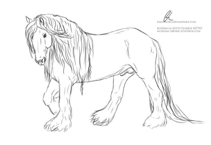 Gypsy Stallion Lineart. by paigepony on DeviantArt
