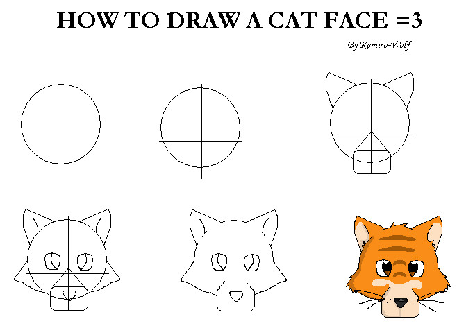 How Do You Draw A Cat