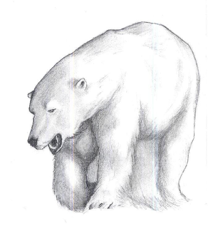 Polar Bear by Oron28
