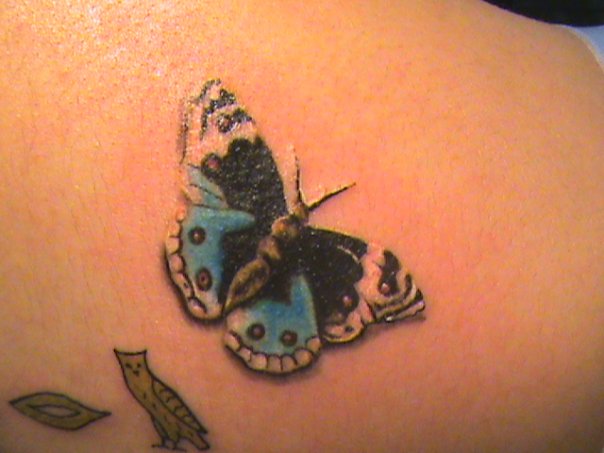 tiger butterfly tattoo. utterfly tattoo