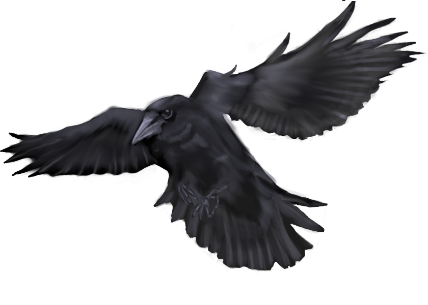 Flying_Crow_by_1two3four5six7.jpg