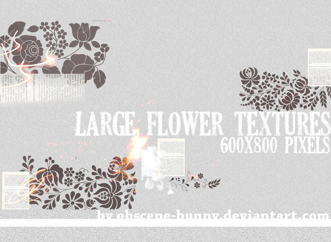 http://fc07.deviantart.net/fs51/i/2009/293/9/f/Large_Flower_Textures_02_by_obscene_bunny.jpg