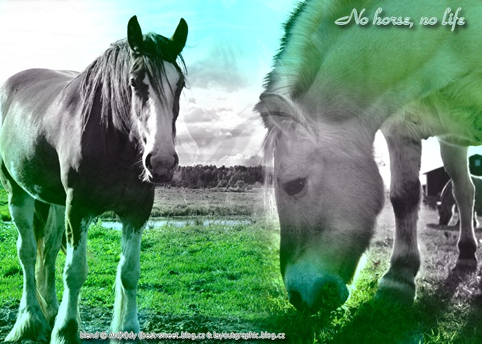 blend__no_horse__no_life_by_andrej8Dka.jpg