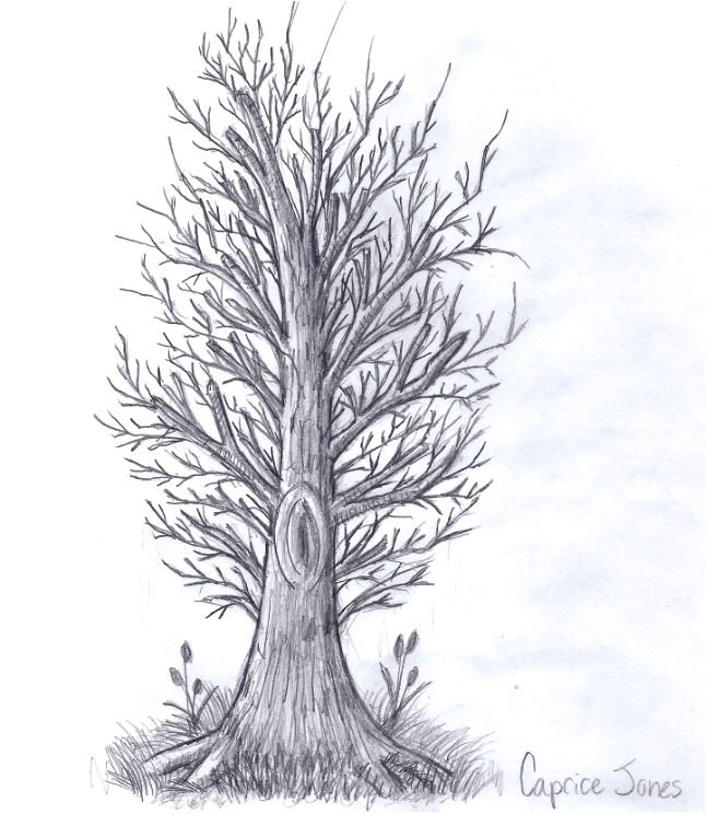 a_tree_by_thedyingkind-d37tcm2.png