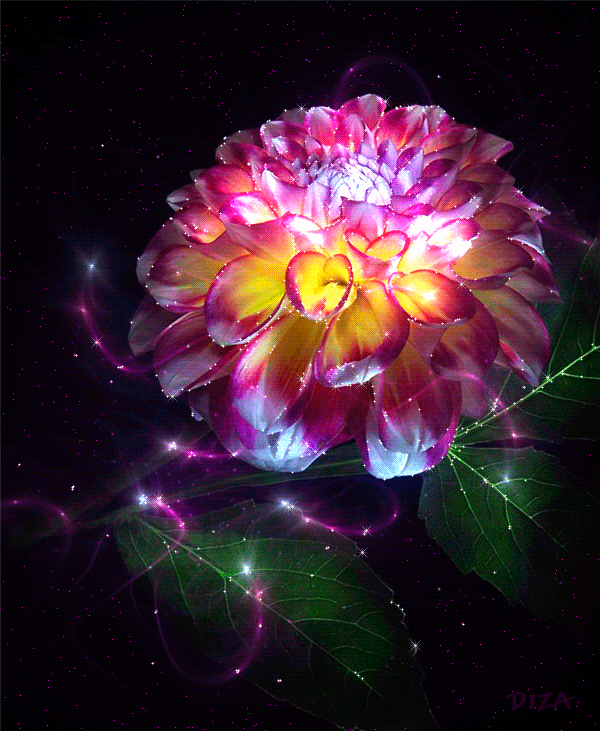 magic_flower_by_diza_74-d5afvul.gif