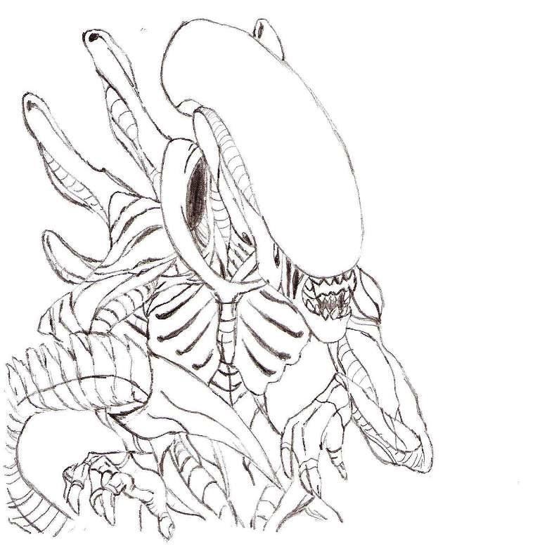 xenomorph drone coloring pages - photo #25
