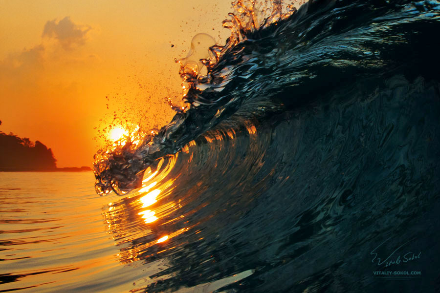 ocean surfing wave at sunset time by vitaly sokol d60in1p
