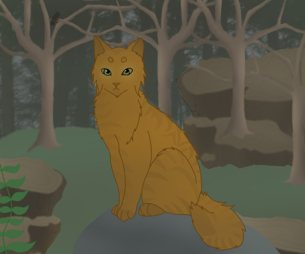 Medecine Cats Herbs Uses And Effects Warrior Cats Video Game