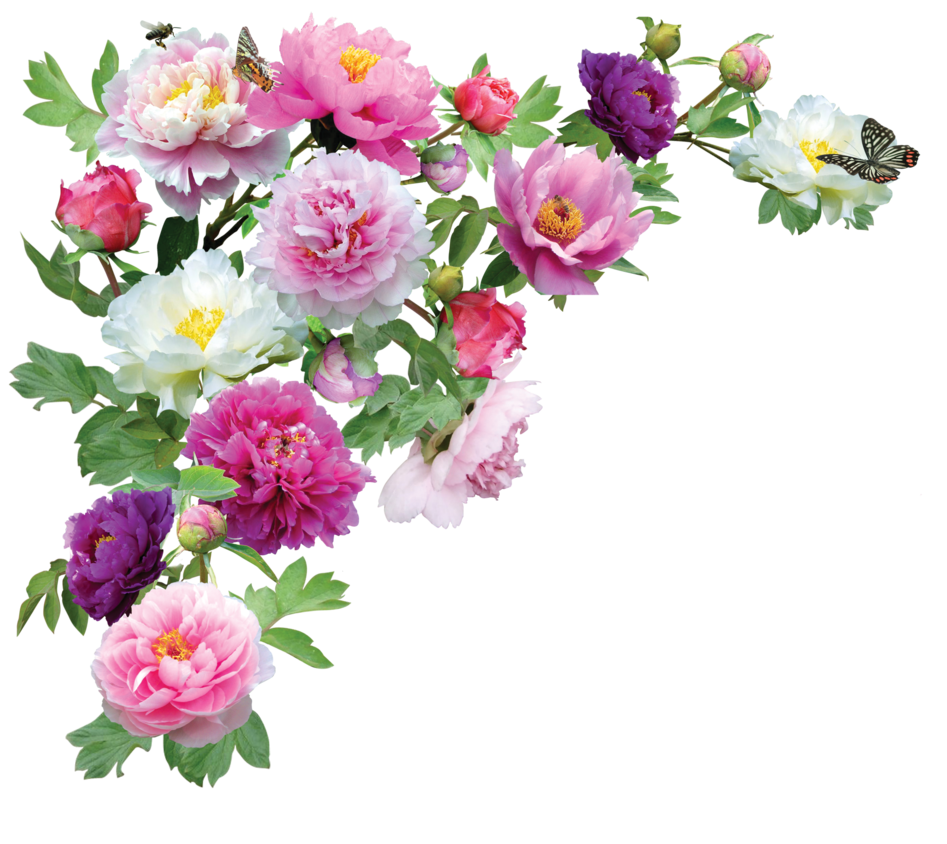 free clip art real flowers - photo #38