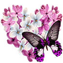 love_of_butterfly_by