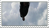 HTTYD: Skyflying Stamp by randomkiwibirds