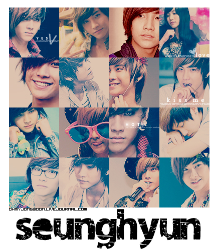 http://fc07.deviantart.net/fs70/i/2010/013/c/8/162_Seunghyun_Icons_by_ohmyjongwoon.png