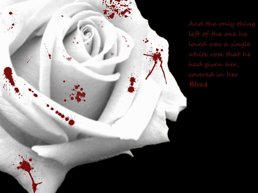 single white rose wallpaper. Single White Rose by ~akuroku-cleon-soriku on deviantART