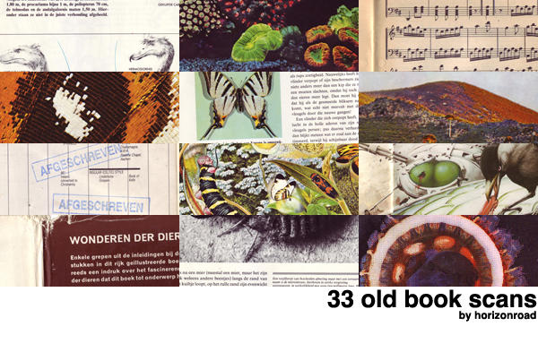 http://fc07.deviantart.net/fs70/i/2010/179/e/8/scans_old_books_by_horizonroad.jpg