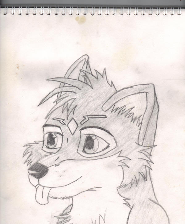 anime wolves pics. anime wolves drawings. anime