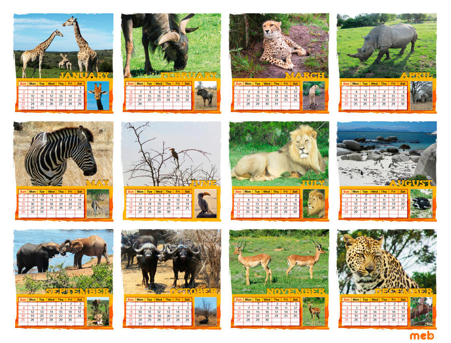 2011 calendar south africa