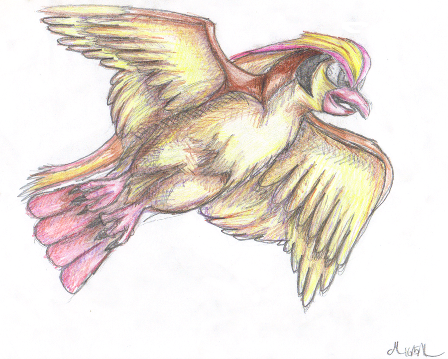 pidgeot_by_infernrar-d3gho2l.png