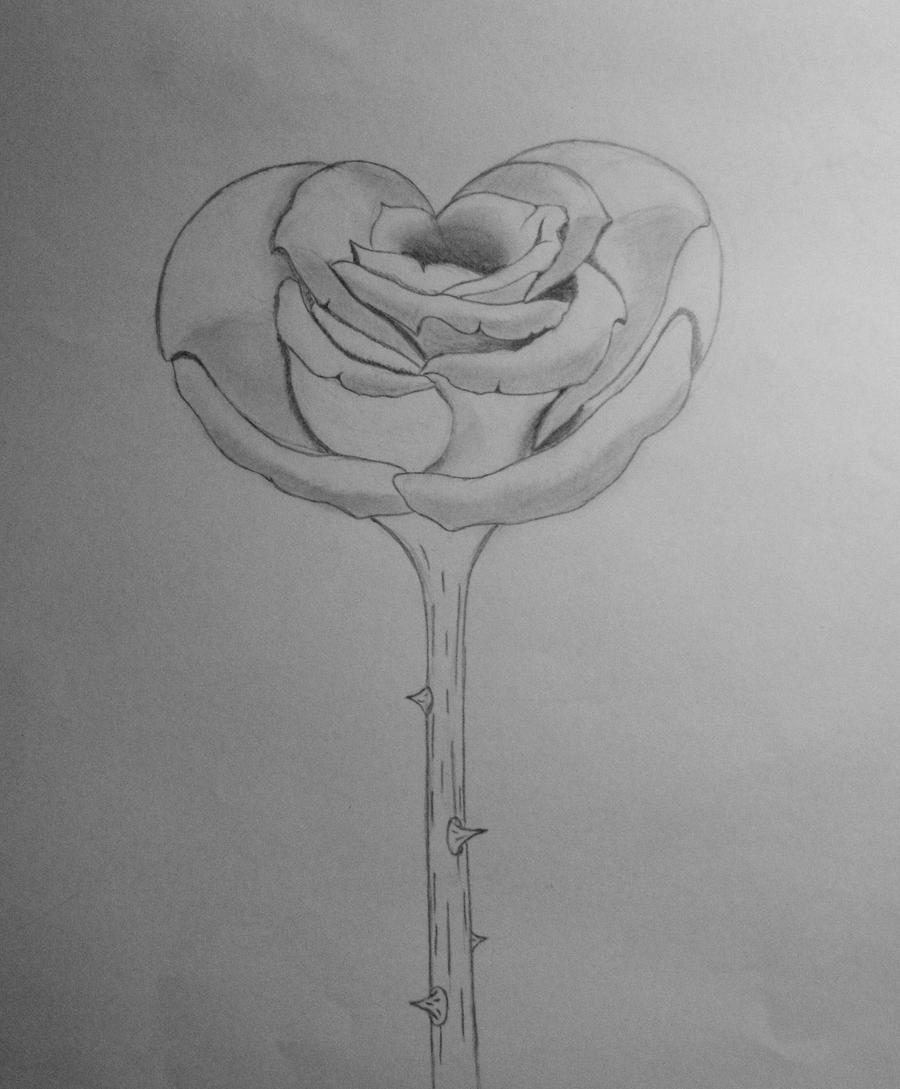 heart and rose drawings