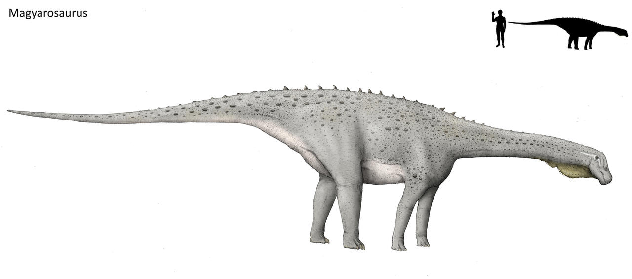 magyarosaurus_by_hyrotrioskjan-d3lf49k.jpg