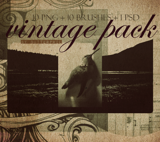 http://fc07.deviantart.net/fs70/i/2012/069/2/4/vintage_pack_by_butterphil-d4sasaj.png