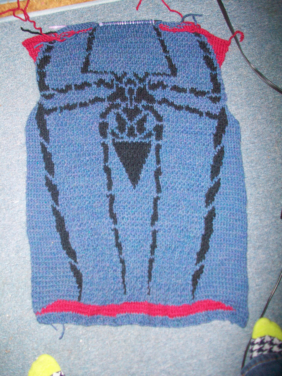 work_in_progress___amazing_spider_man_sweater_by_spidey_girl30-d58dh7r.jpg