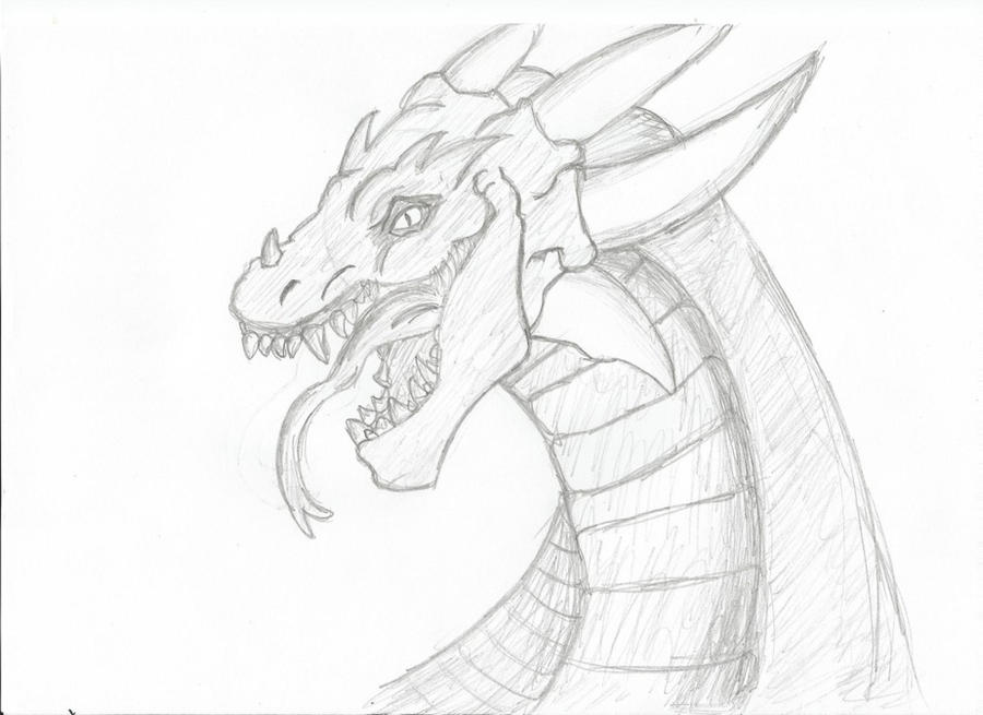 Dragon Drawing by GingerBread3 on DeviantArt