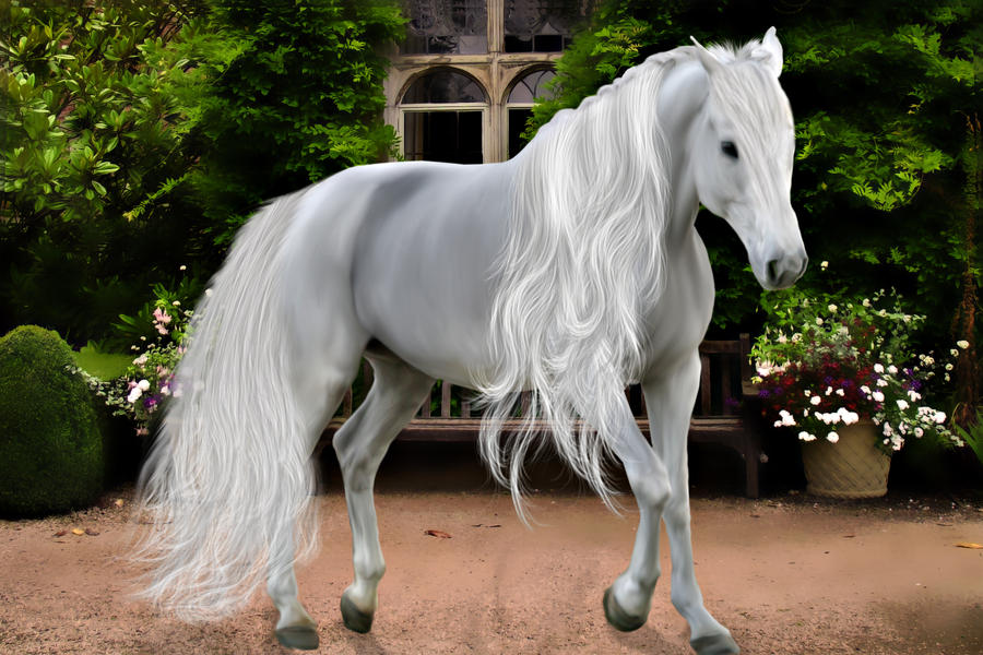 white_horse_by_ditney-d5diyez.jpg