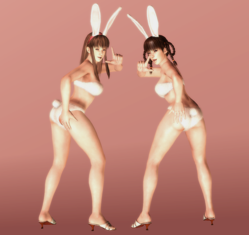 hitomi_and_leifang___cheeky_bunnies___08_by_hentaiahegaolover-d5s1trk.png