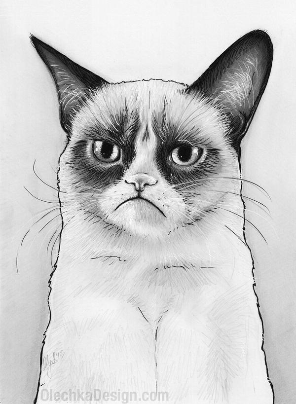 Tard Grumpy Cat Drawing by Olechka01 on DeviantArt