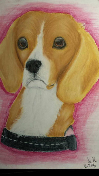 beagle___gift_for_friend___by_dashiepl-d