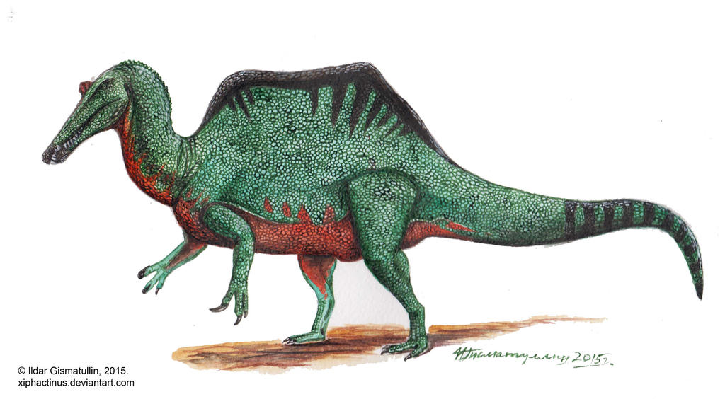 http://fc07.deviantart.net/fs70/i/2015/024/9/b/spinosaurus_aegyptiacus_v2_by_xiphactinus-d8f6efv.jpg
