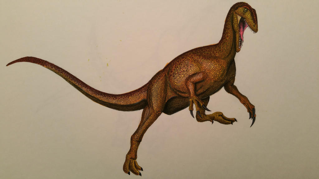 australovenator_wintonensis_by_spinosaurus1-d8gprv3.jpg