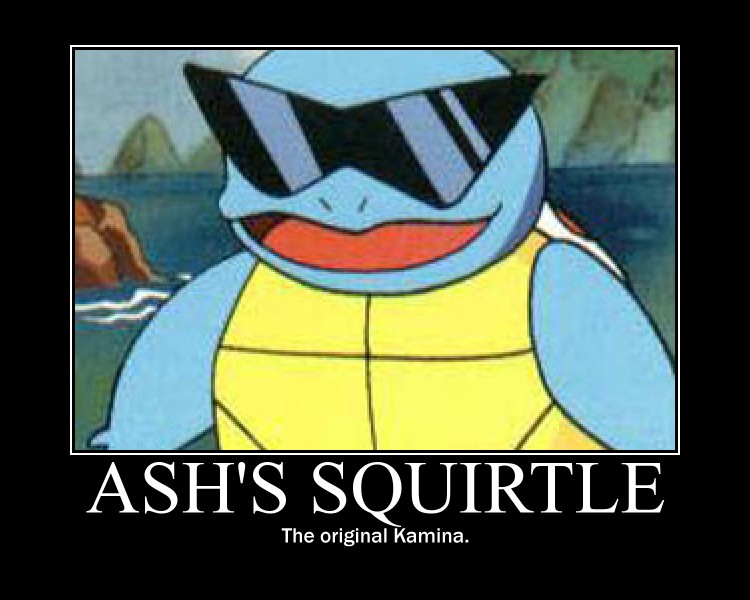 Funny Squirtle 53