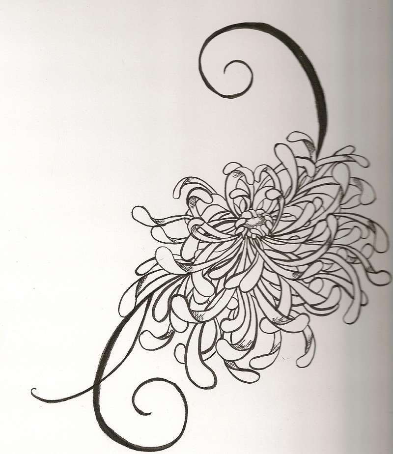 chrysanthemum flower tattoo. chrysanthemum flower tattoo. flower tattoos; flower tattoos. Eraserhead